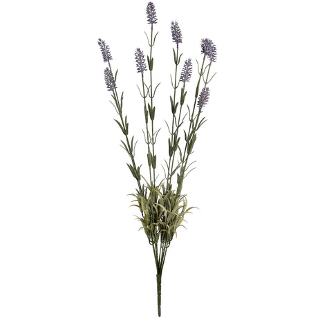 large lavender spray
