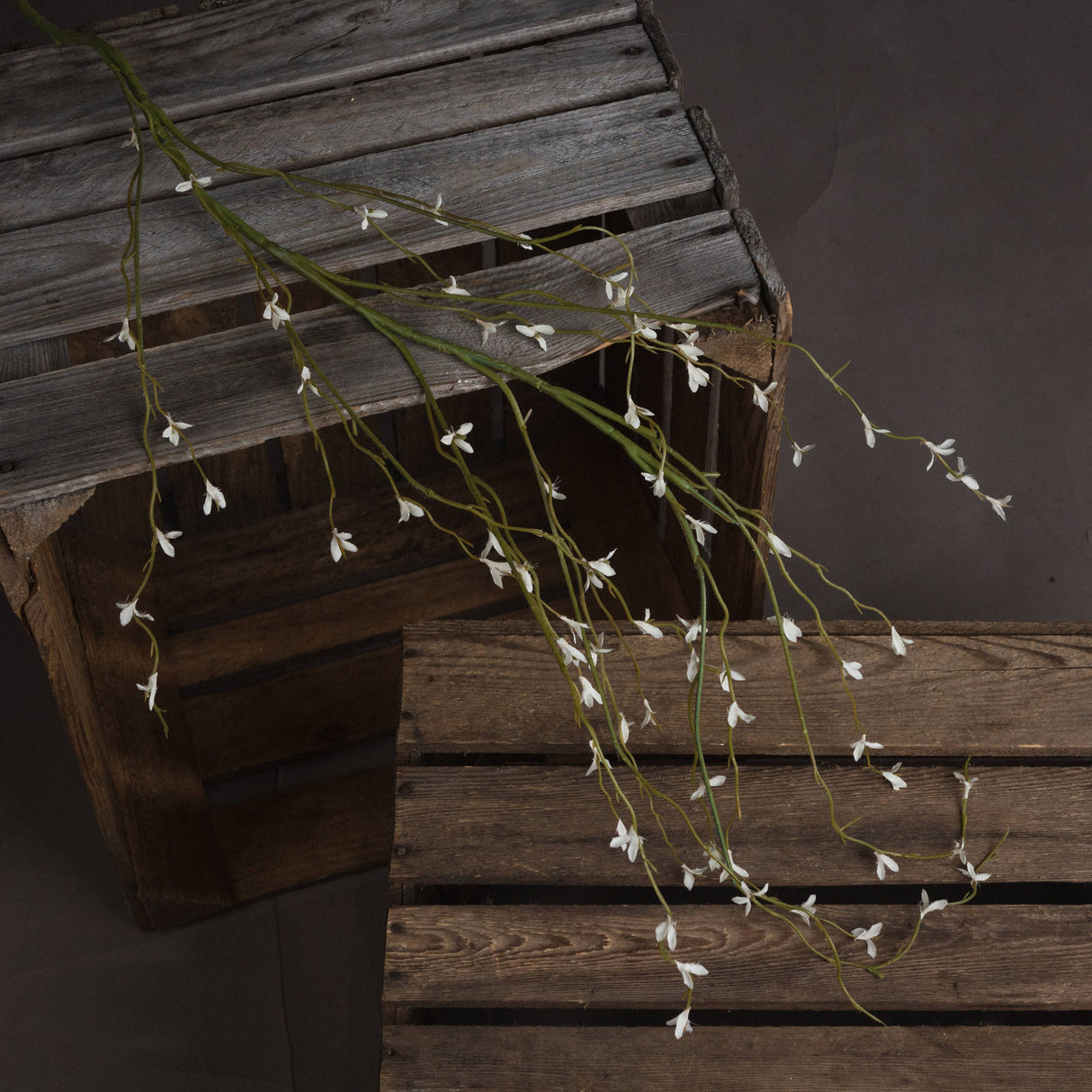 white willow spray
