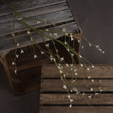 white willow spray