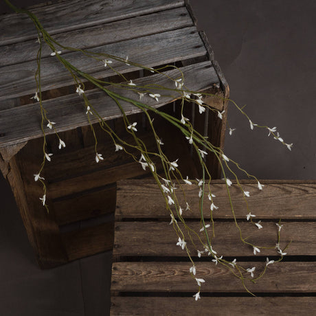 white willow spray