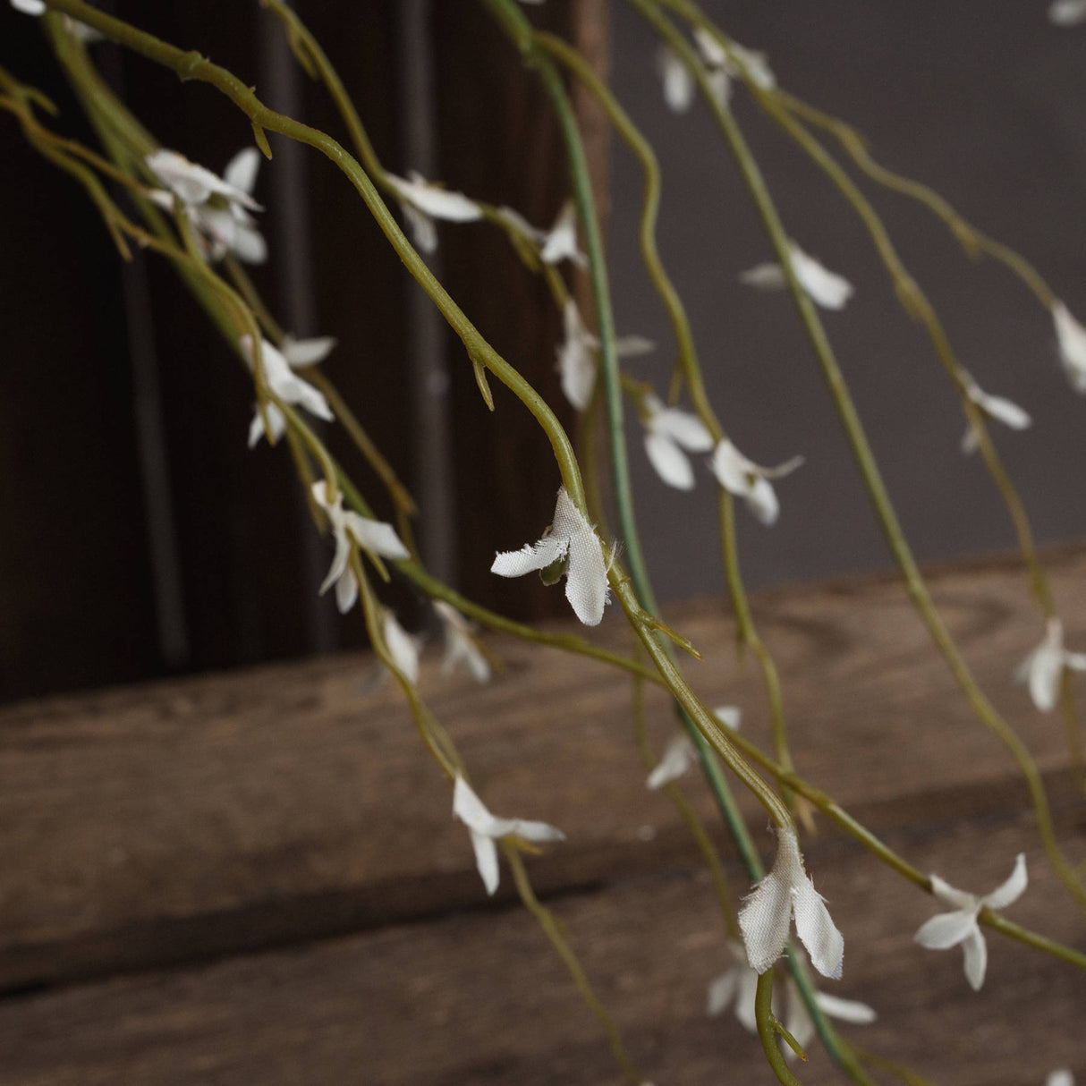 white willow spray