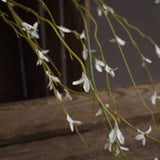 white willow spray