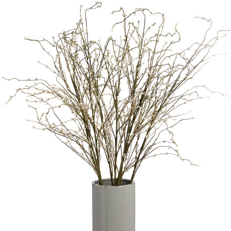 white willow spray