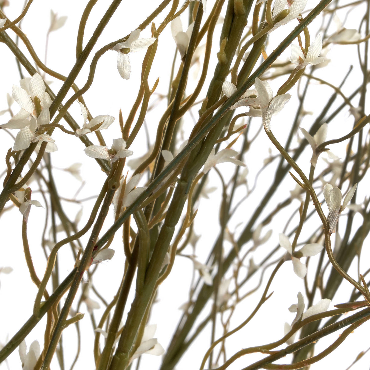 white willow spray