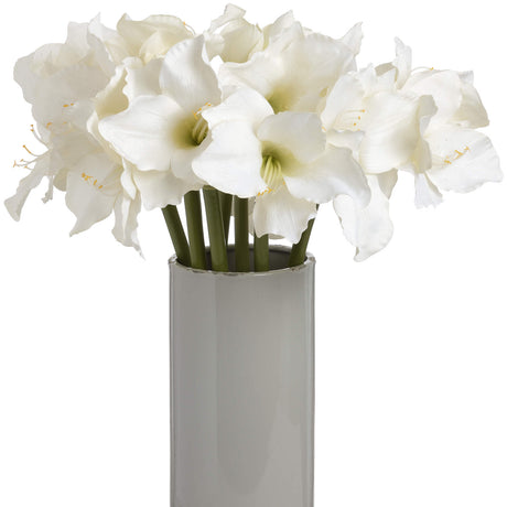 classic white amaryllis flower