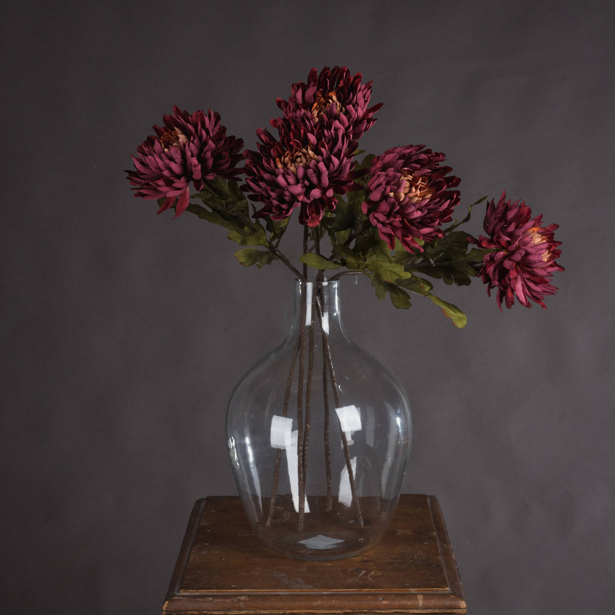 autumn spider chrysanthemum