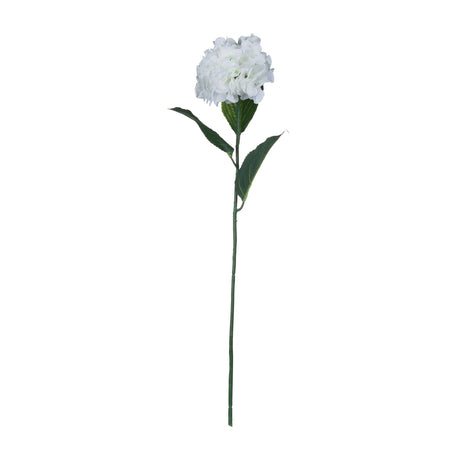 white small head hydrangea