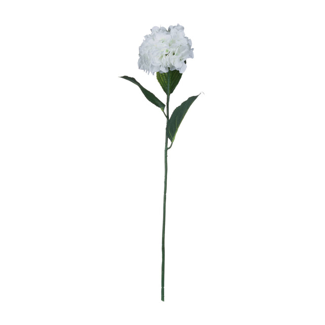 white small head hydrangea