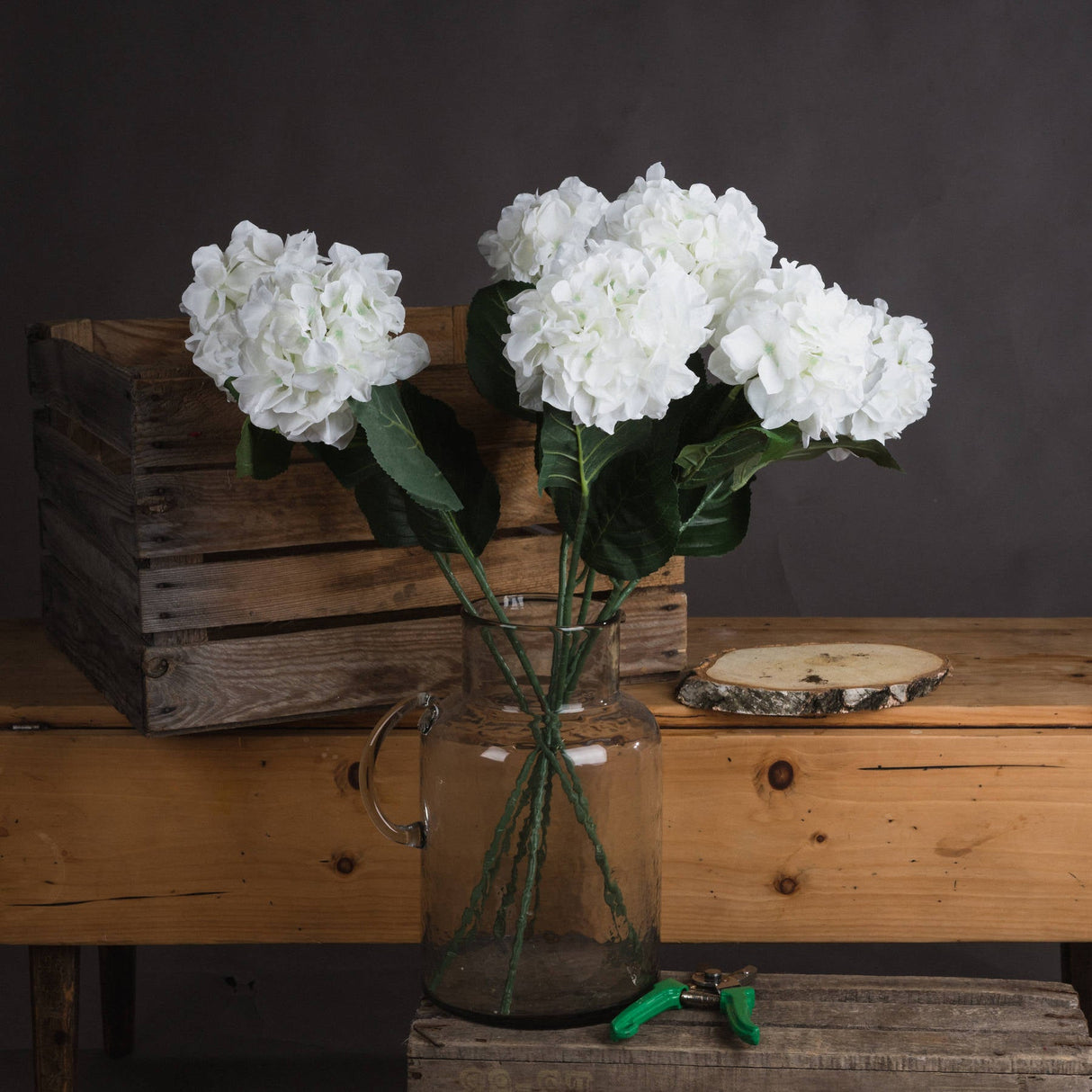 Josephine White Small Head Hydrangea