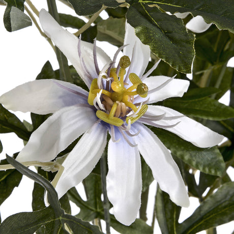 passion flower spray