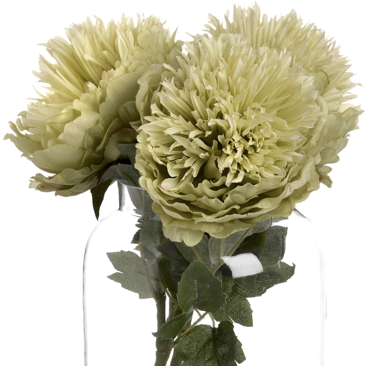 green peony