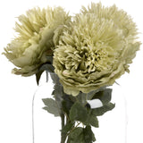 green peony
