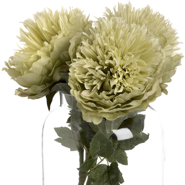 green peony