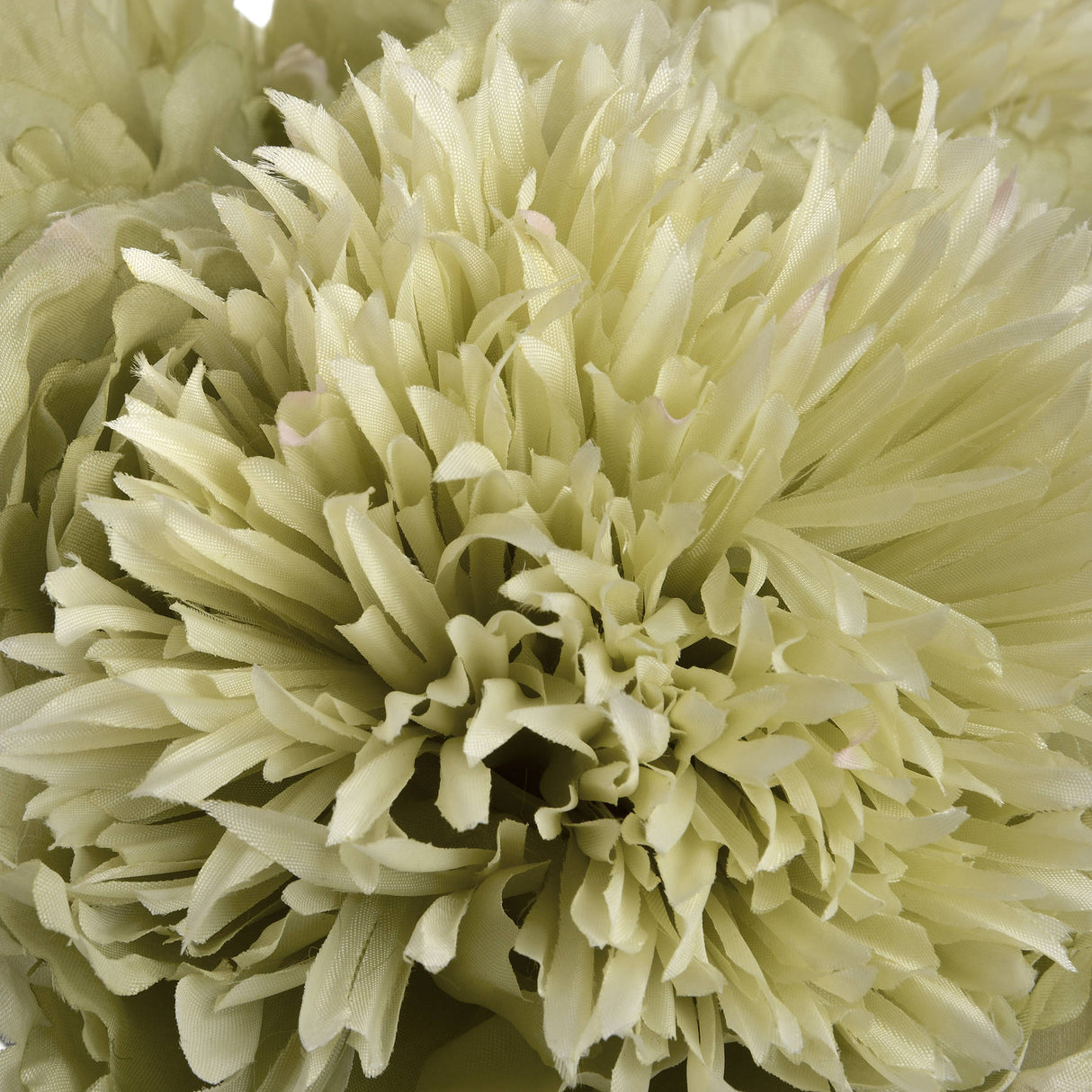 green peony