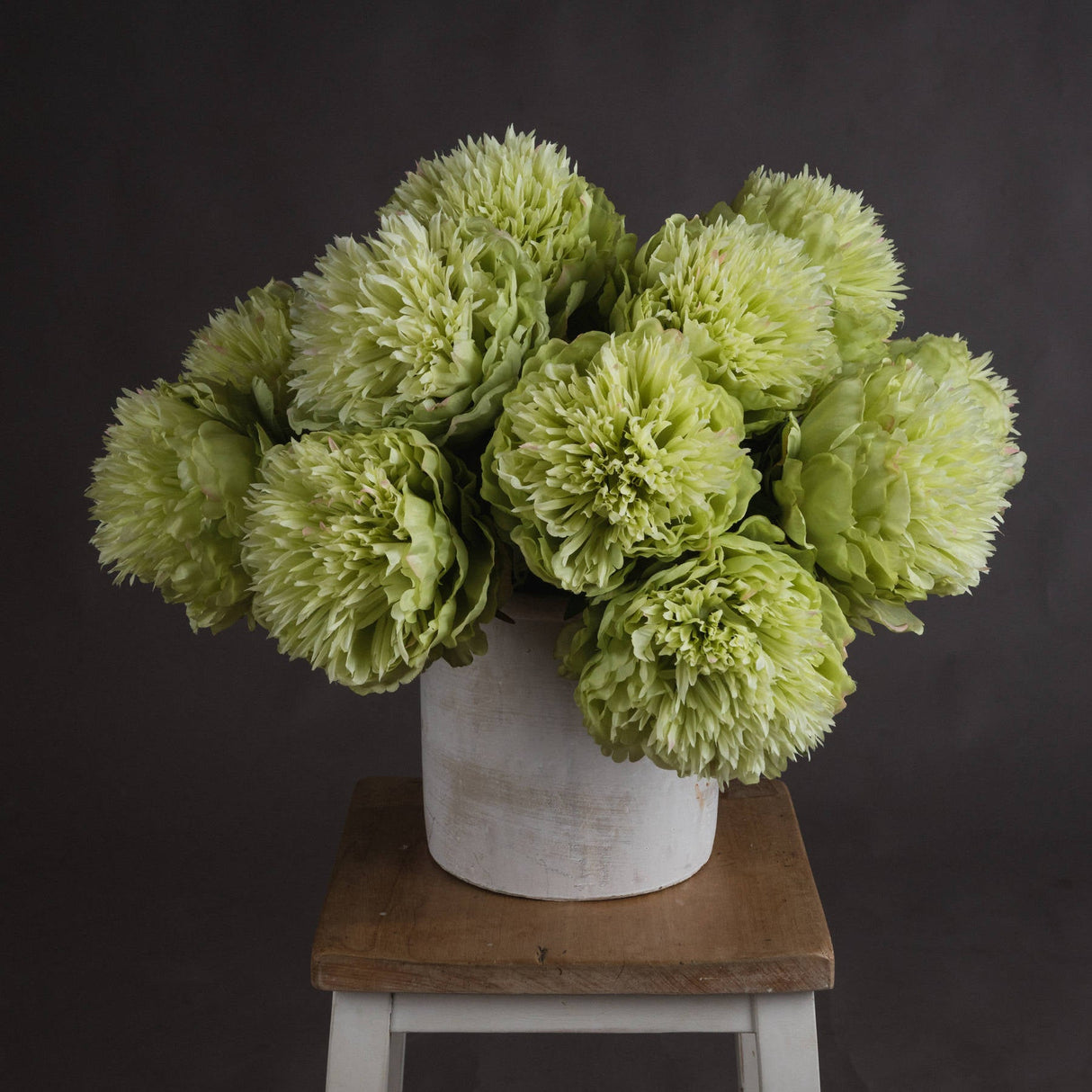 Josephine Green Peony