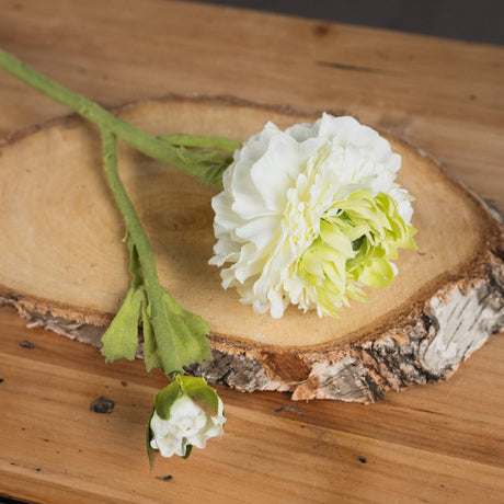 green ranunculus spray