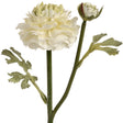 green ranunculus spray