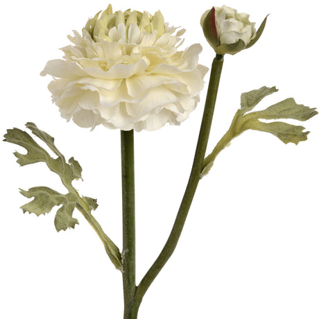 green ranunculus spray
