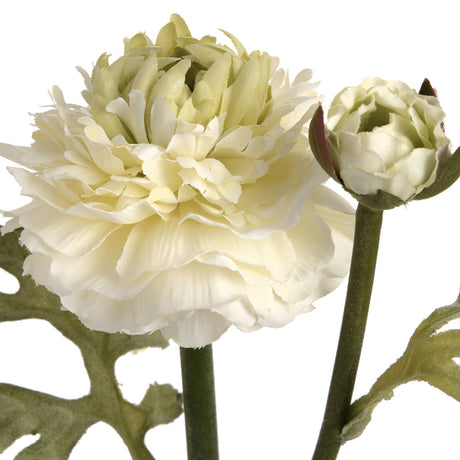 green ranunculus spray