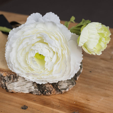 white ranunculus spray