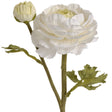 white ranunculus spray