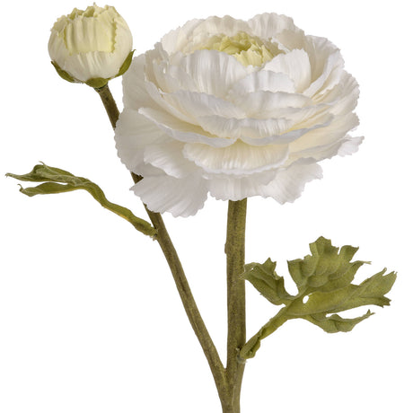 white ranunculus spray