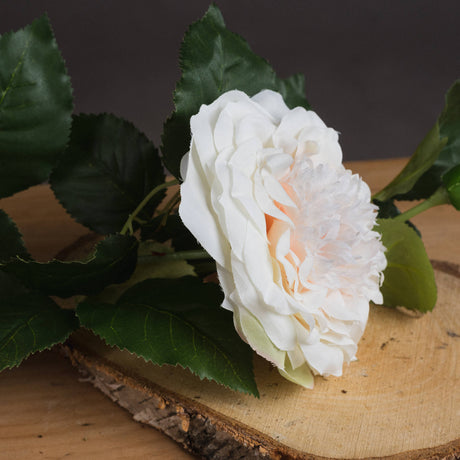 white garden rose spray