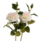 white garden rose spray