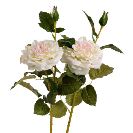 white garden rose spray