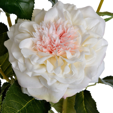 white garden rose spray