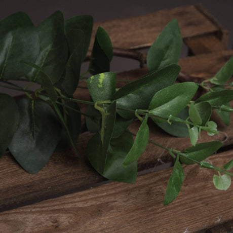 cineraria eucalyptus spray