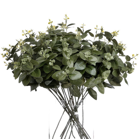 cineraria eucalyptus spray
