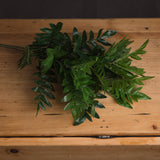 pistach bunch