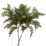 pistach bunch