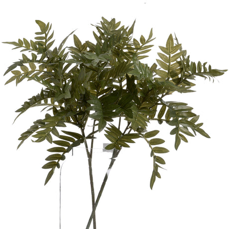 pistach bunch