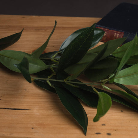 faux bay leaf spray