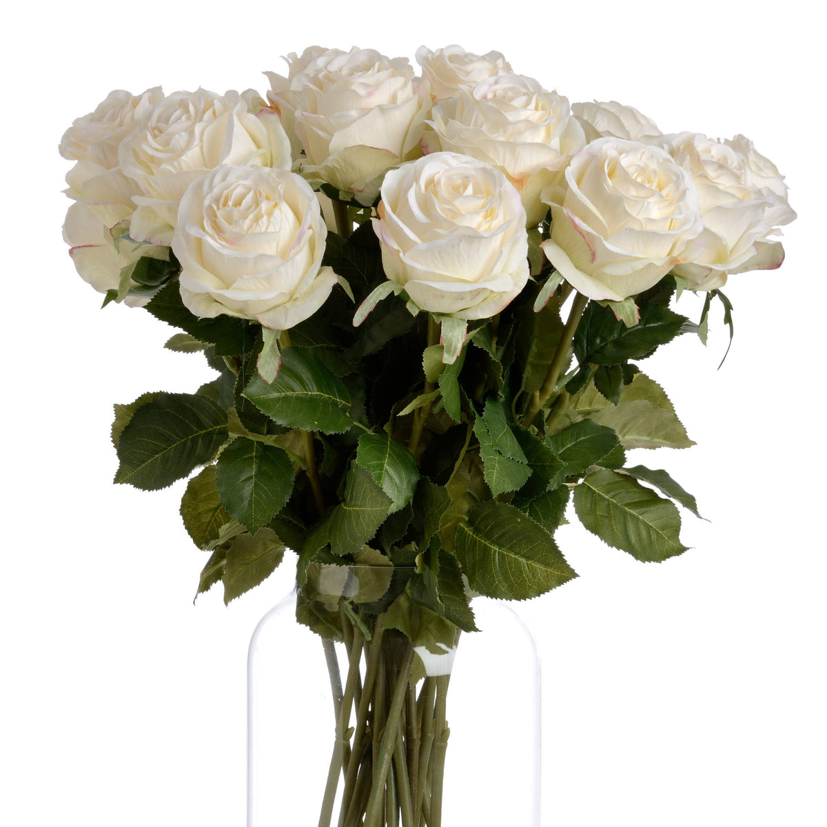Bone White Roses Celine Traditional White Rose – Avoir Interiors