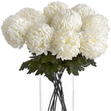 large white chrysanthemum