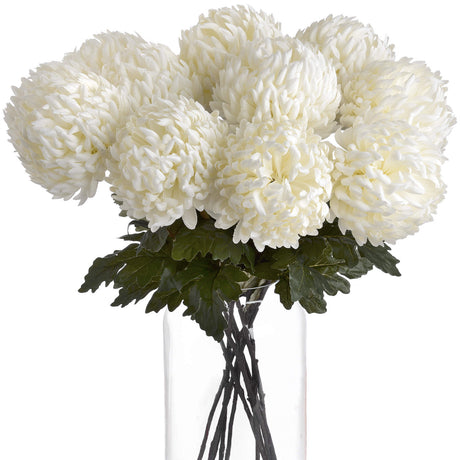 large white chrysanthemum