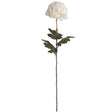 large white chrysanthemum