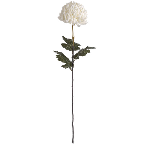 large white chrysanthemum