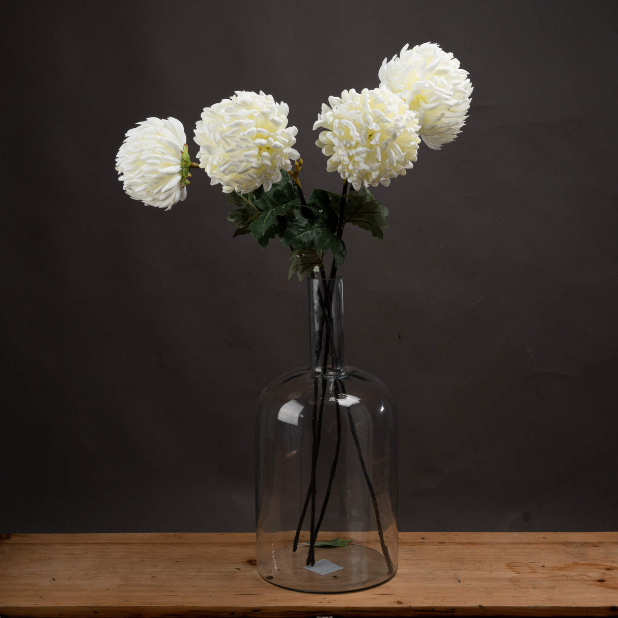 large white chrysanthemum