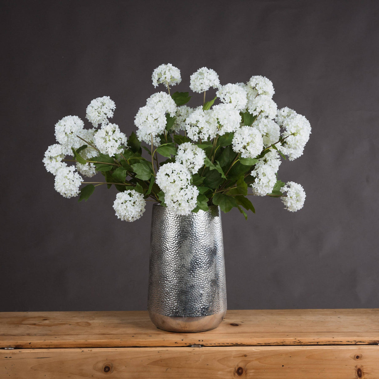 Delphine Viburnum Opulus
