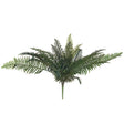 fern bunch