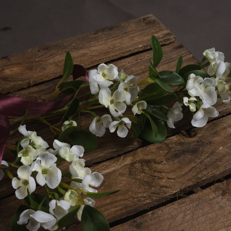 white spring mock orange flower