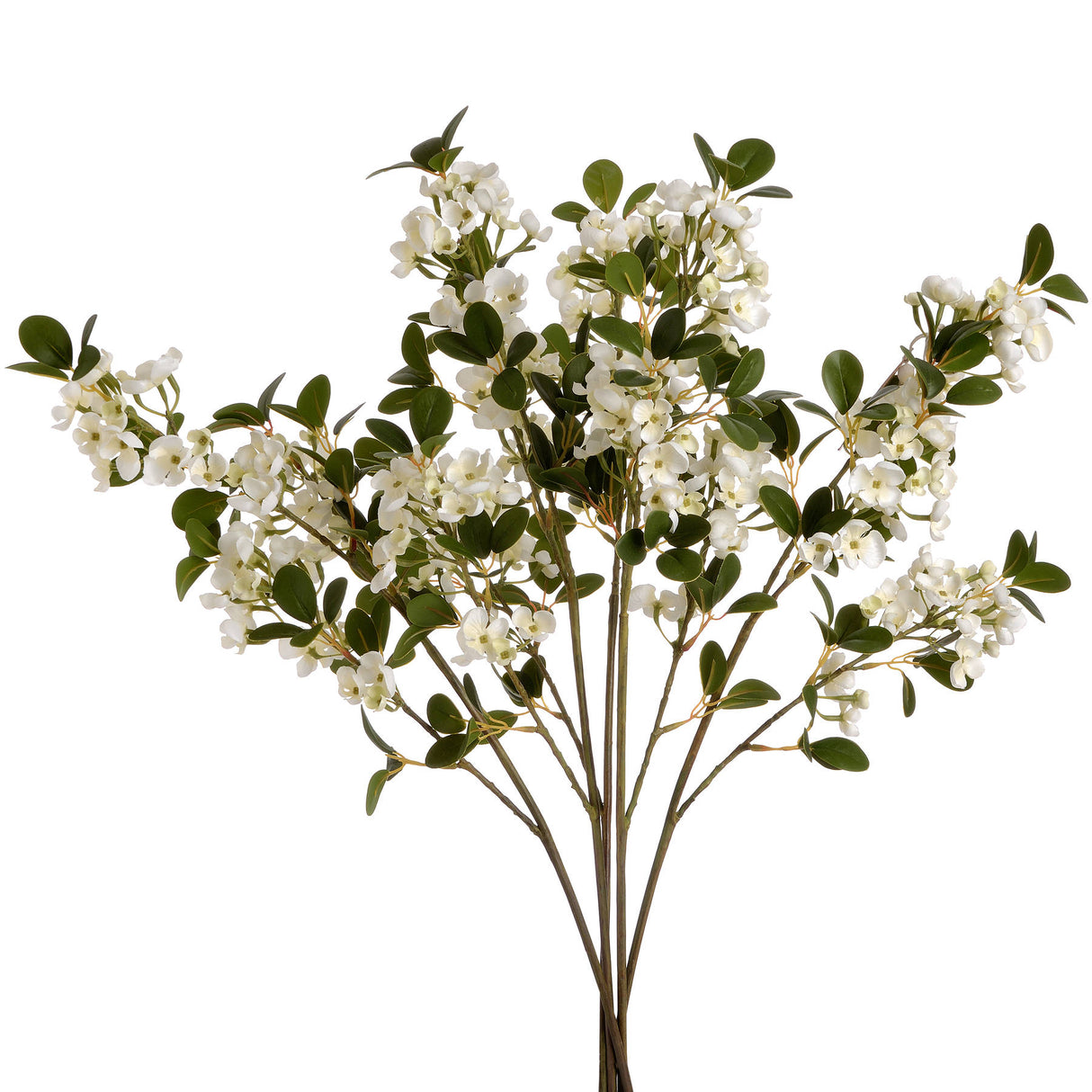 white spring mock orange flower