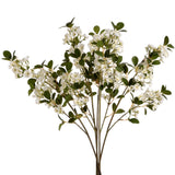 white spring mock orange flower