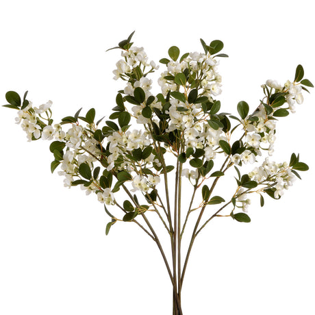 white spring mock orange flower