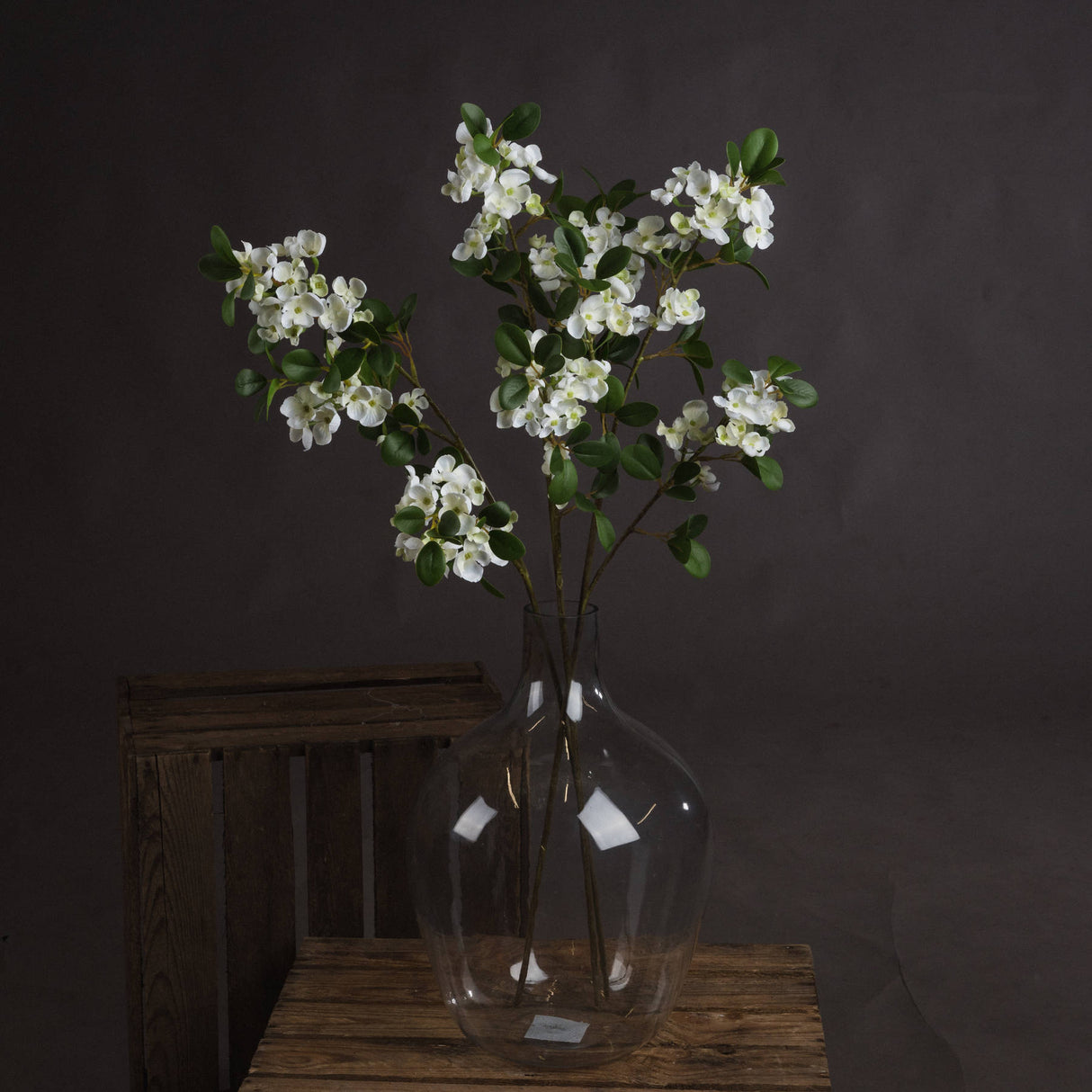 white spring mock orange flower