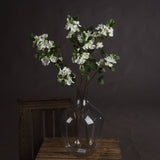 white spring mock orange flower